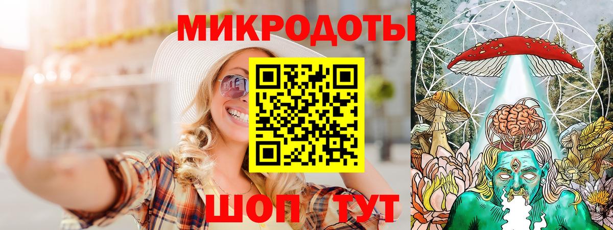 Псилоцибиновые грибы Psilocybe Осинники