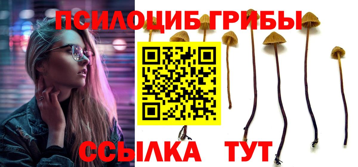 Галлюциногенные грибы мицелий  Галлюциногенные грибы мухоморы  Вход с VPN  Осинники 